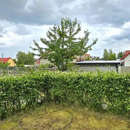 Triapart Amber Jantar