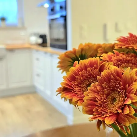Triapart Amber *