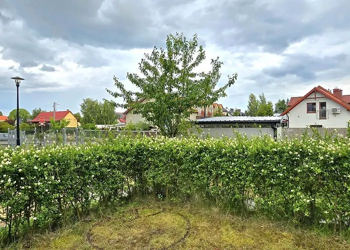 Triapart Amber Янтар